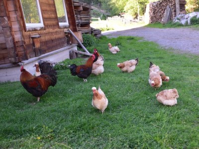 Apartment Appartement - Outdoor photo 6