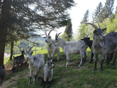 Apartment Appartement - Outdoor photo 7