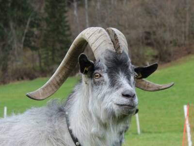 Apartment Appartement - Outdoor photo 8