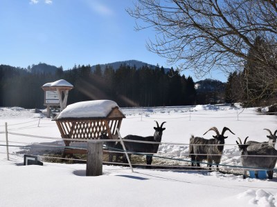 Apartment Appartement - Outdoor photo 11