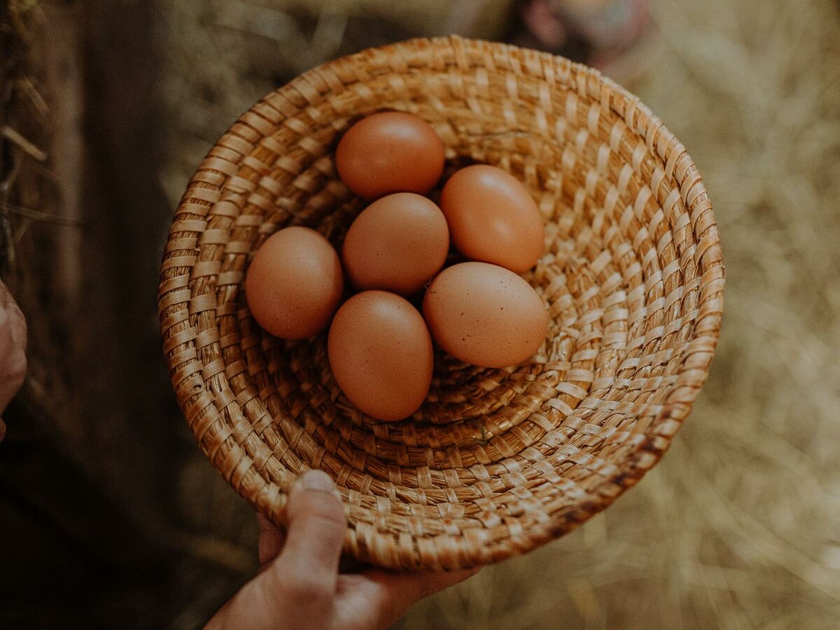 Holiday room Hauswiesenzimmer  (1-3 Nächte), mit Frühstück - Outdoor photo 3