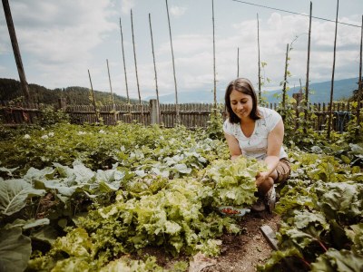 Holiday room Hauswiesenzimmer  (1-3 Nächte), mit Frühstück - Outdoor photo 8
