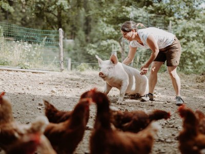 Holiday room Hauswiesenzimmer  (1-3 Nächte), mit Frühstück - Outdoor photo 9