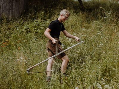 Holiday room Hauswiesenzimmer  (1-3 Nächte), mit Frühstück - Outdoor photo 11