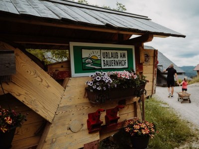 Holiday room Hauswiesenzimmer  (1-3 Nächte), mit Frühstück - Outdoor photo 20