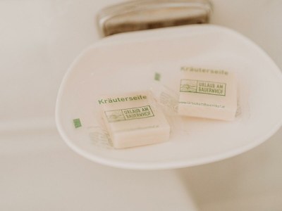 Holiday room Hauswiesenzimmer  (1-3 Nächte), mit Frühstück - Features photo 23