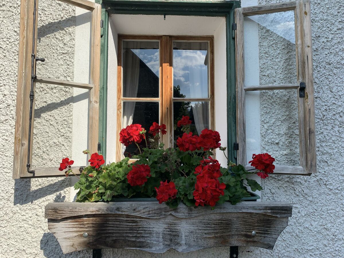 Holiday room Gästekammer - Outdoor photo 5