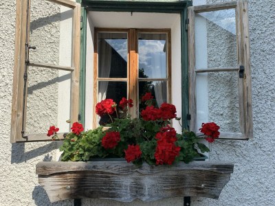 Holiday room Gästekammer - Outdoor photo 5