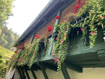 Holiday room Gästekammer - Outdoor photo 9