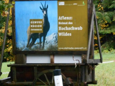 Holiday room Einzelzimmer - Outdoor photo 12