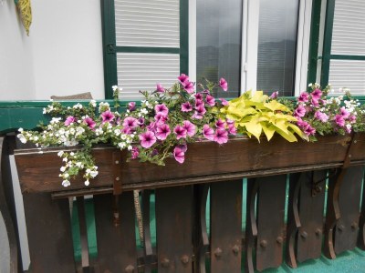 Holiday room Einzelzimmer - Features photo 26