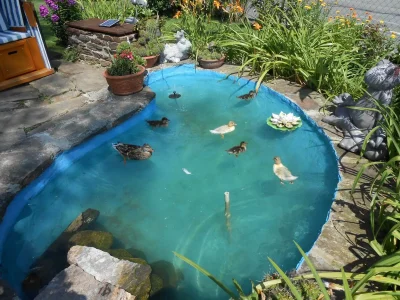 Holiday room Dreibettzimmer, Dusche oder Bad, WC, Bergseite - Outdoor photo 2