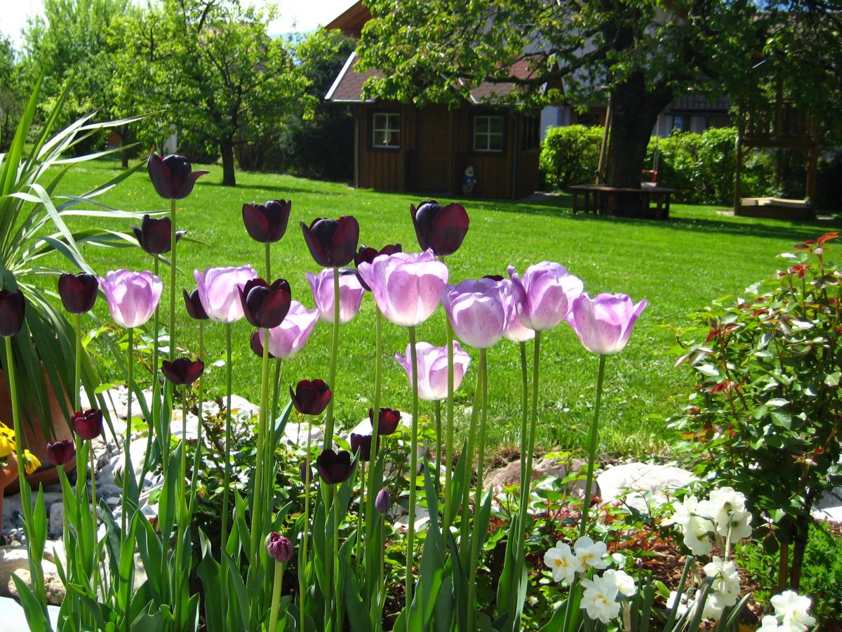 Holiday apartment "Landhaus Schnitzer" Millstättersee / Kärnten - Outdoor photo 5