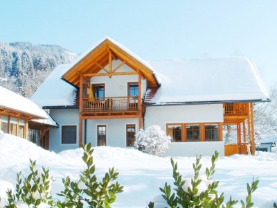 Holiday apartment "Landhaus Schnitzer" Millstättersee / Kärnten - Environment photo 18