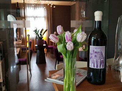 Apartment Suite, Dusche oder Bad, WC, 2 Schlafräume - Outdoor photo 17