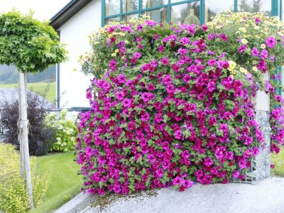 Holiday room Zimmer 1 - Outdoor photo 14