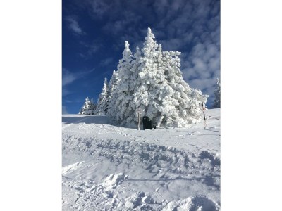 Holiday room Zimmer 2 - Outdoor photo 10