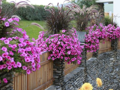 Holiday room Zimmer 2 - Outdoor photo 15