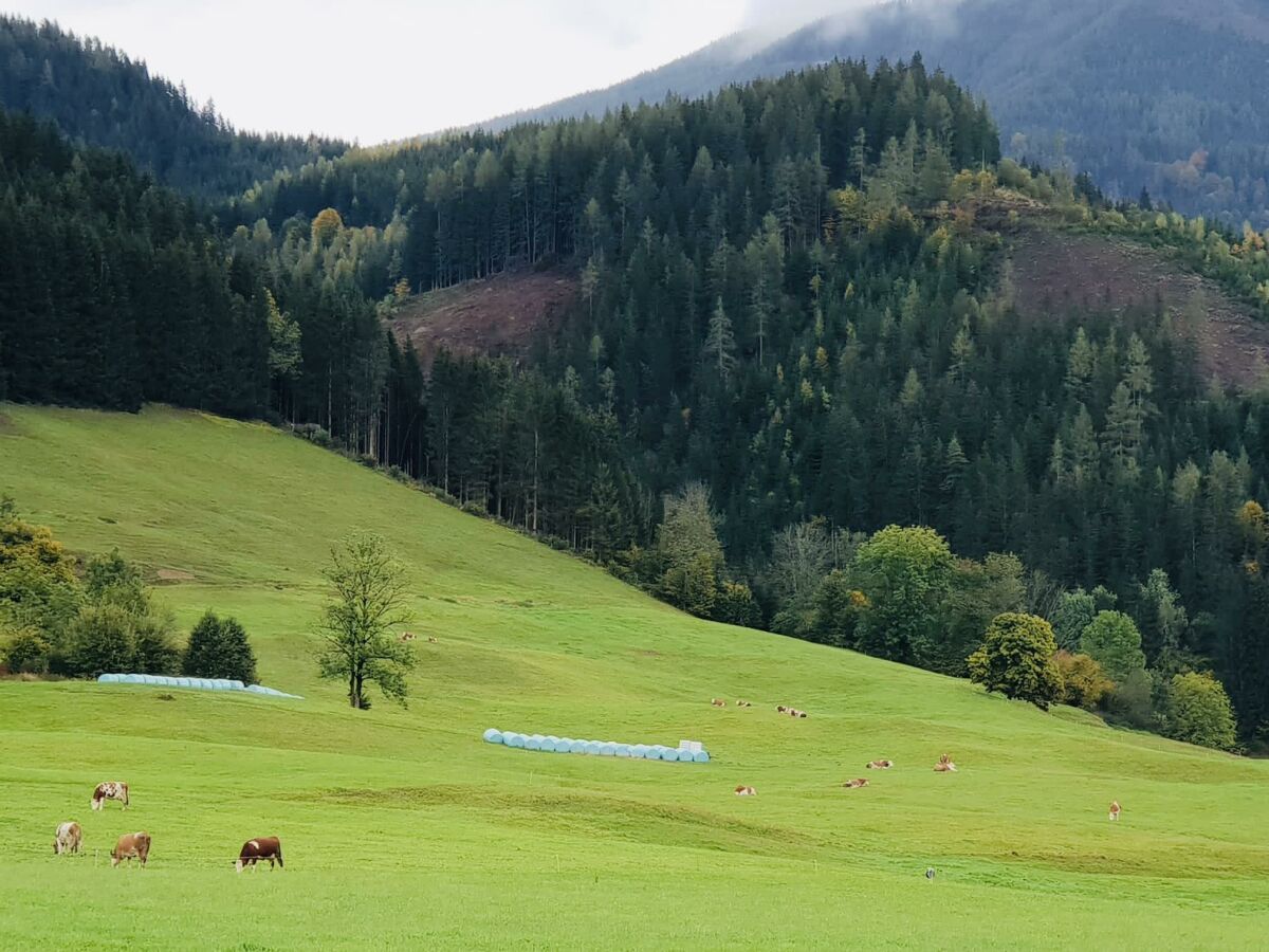Holiday room Ferienwohnung mit 3 Zimmern - Outdoor photo 5