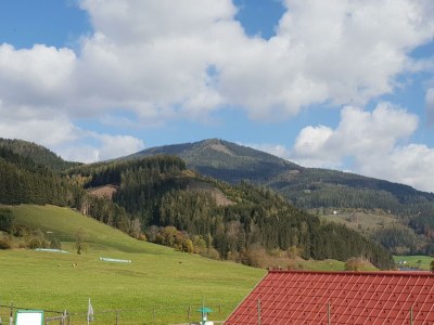 Holiday room Ferienwohnung mit 3 Zimmern - Outdoor photo 6