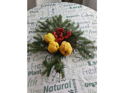 Holiday room Ferienwohnung mit 3 Zimmern - Outdoor photo 22