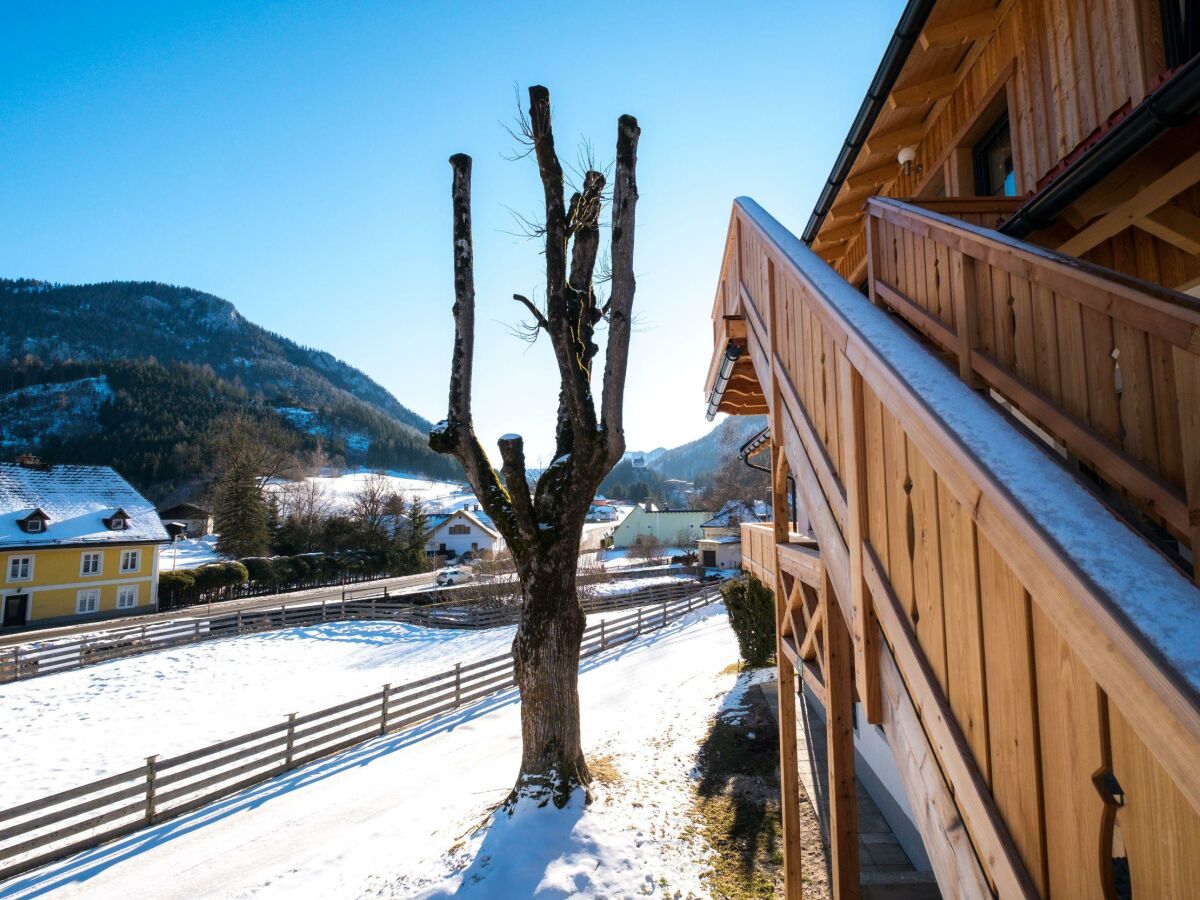 Apartment Ferienwohnung "Tribein"