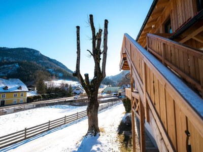 Apartment Ferienwohnung "Tribein" in Mariazell - Apartment
