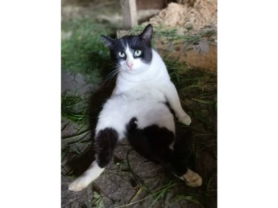 Apartment Ferienwohnung "Tribein" - Outdoor photo 3