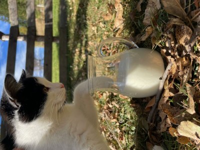 Apartment Ferienwohnung "Tribein" - Outdoor photo 10