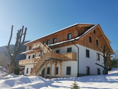 Apartment Ferienwohnung "Tribein" - Outdoor photo 13