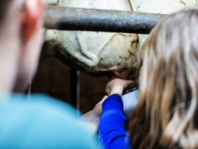 Apartment Ferienwohnung "Tribein" - Outdoor photo 17