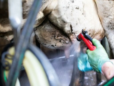 Apartment Ferienwohnung "Tribein" - Outdoor photo 18