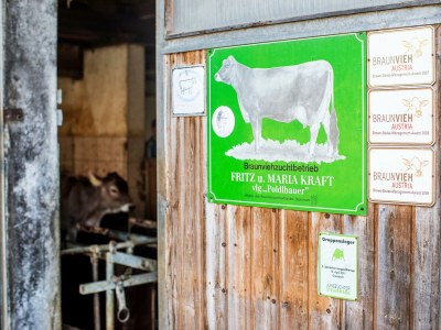 Apartment Ferienwohnung "Tribein" - Outdoor photo 19