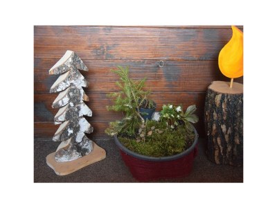 Holiday room Doppelzimmer mit Dusche, WC - Outdoor photo 6