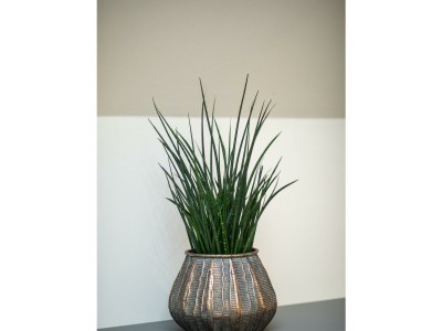 Holiday room Einzelzimmer - Outdoor photo 36