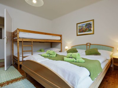 Apartment Immergrün in Mitterbach/St. Sebastian - Apartment