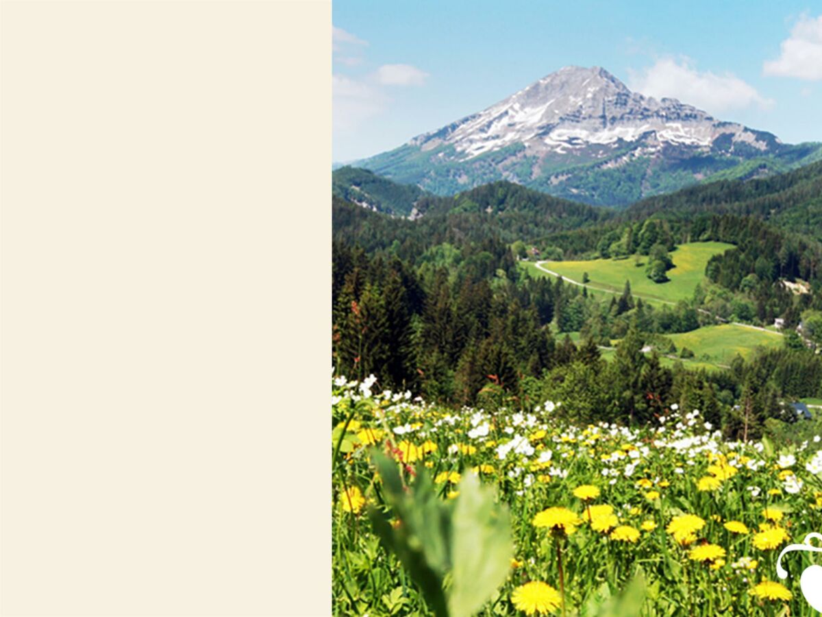 Apartment Appartement 2 FH "Erlaufsee" - Outdoor photo 2