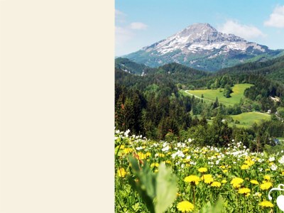 Apartment Appartement 2 FH "Erlaufsee" - Outdoor photo 2