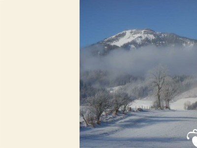 Apartment Appartement 2 FH "Erlaufsee" - Outdoor photo 3