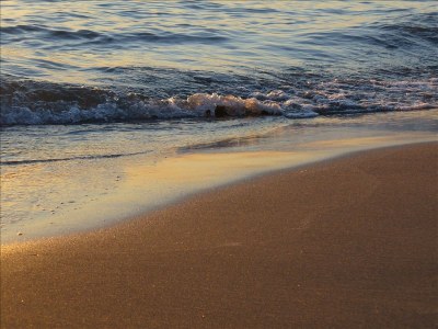 Holiday house SapimasÃ  - Environment photo 14