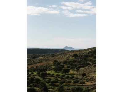 Villa Villa Benessere - Environment photo 21