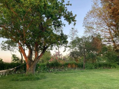 Holiday house 4 star holiday home in Nordborg - Outdoor photo 21