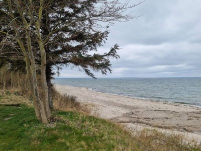 Holiday house 4 star holiday home in Nordborg - Outdoor photo 40