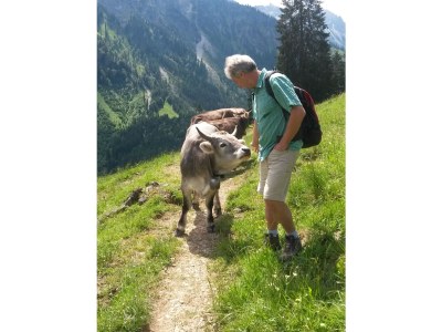 Holiday apartment Sonnleiten - Environment photo 16