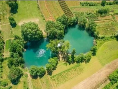 Villa Villa Korana *with pool and whirlpool* - Environment photo 36