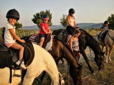 Villa Villa Korana *with pool and whirlpool* - Environment photo 37