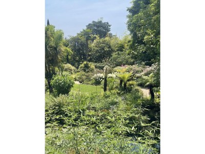 Holiday apartment Casa Nicol Tignale - Environment photo 20