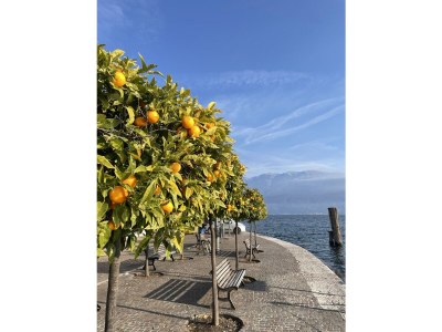 Holiday apartment Casa Nicol Tignale - Environment photo 23