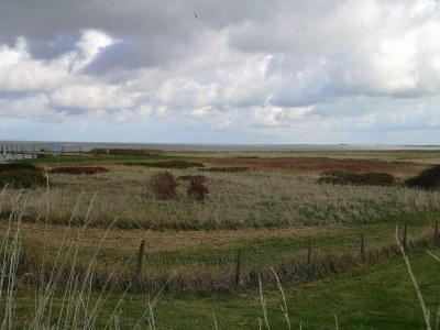 Holiday house Ferienhaus Seeschwalbe in Dornumersiel - Environment photo 13