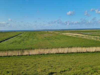 Holiday house Ferienhaus Seeschwalbe in Dornumersiel - Environment photo 14